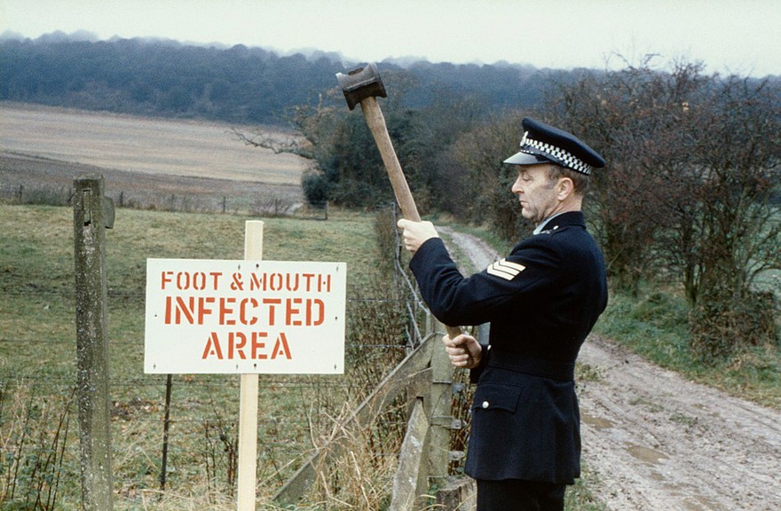 Police officer with a foot and mouth notice