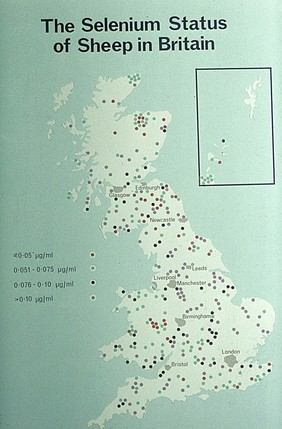 Map: selenium status grazing sheep Britain