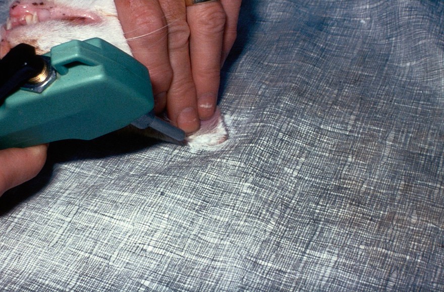 Liquid nitrous oxide spray being used to treat