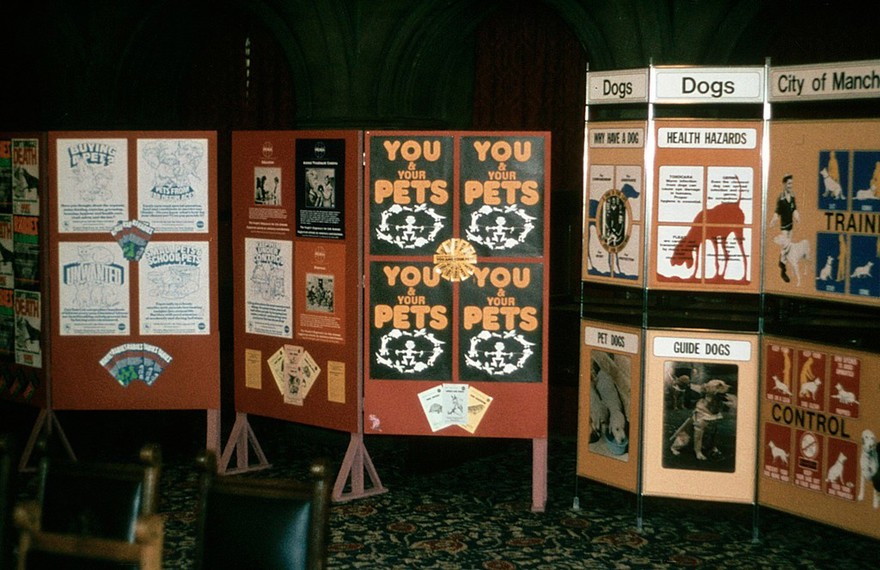 Toxicariasis: responsible dog ownership