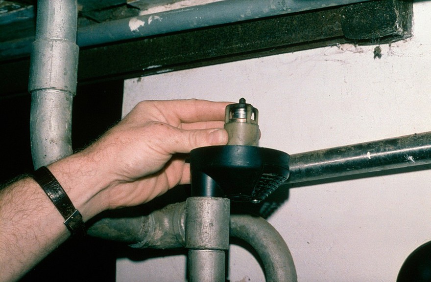 Milking machine: vacuum regulator valve
