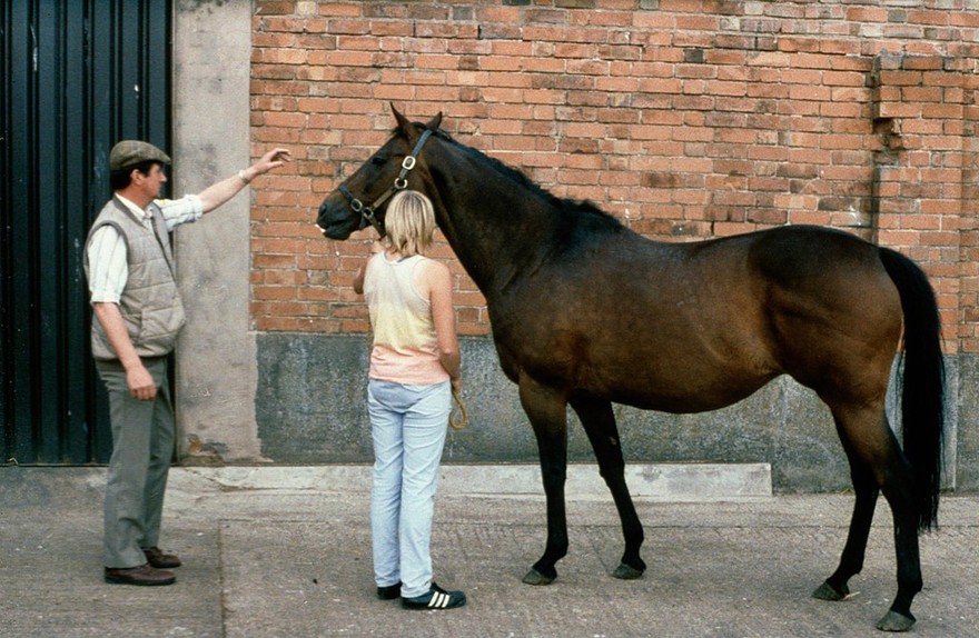 Incorrect approach to the horse