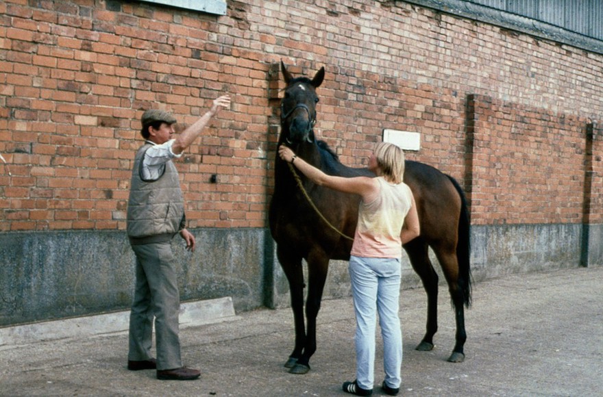 Incorrect approach to the horse