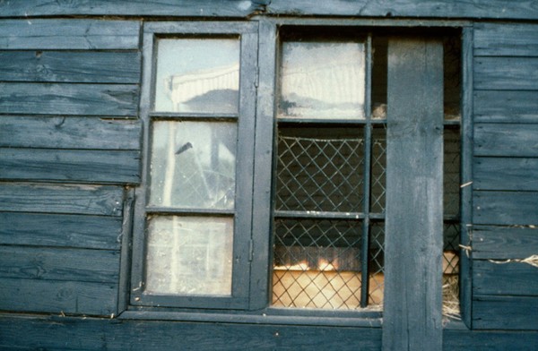 Dangerrous window panes in horse's stable