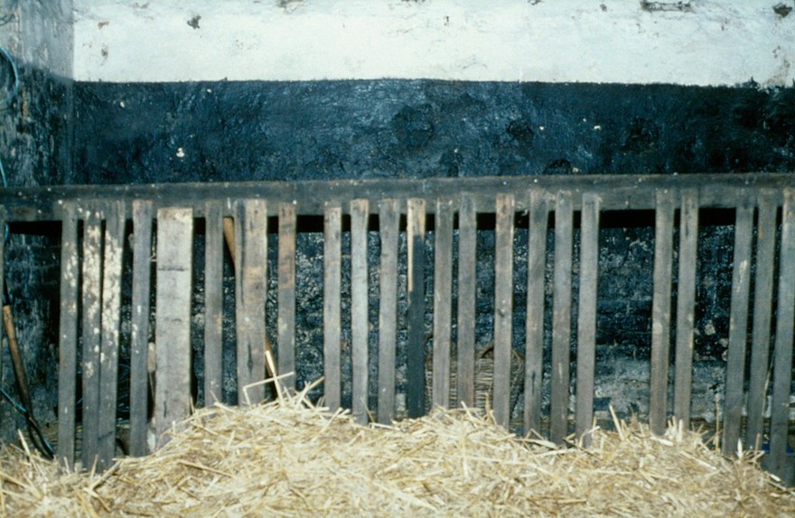 Horse's stable: poor wooden plank partition