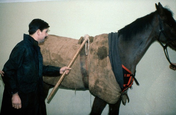 Vet unsuitably clothed for examining horse