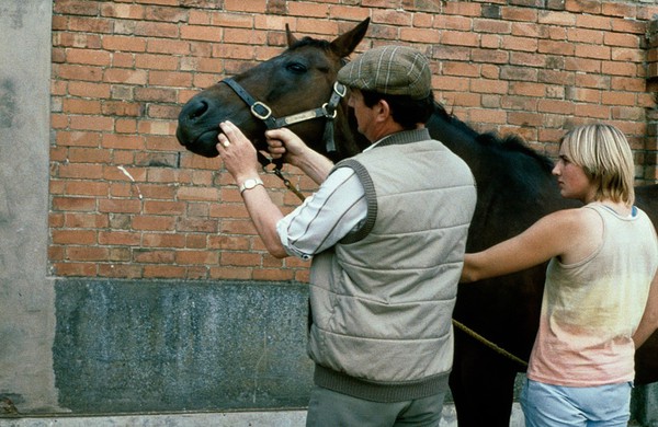 Vet correctly entering horse's mouth - side