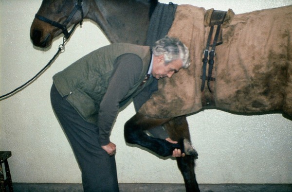 Correct way to lift a horse's leg.