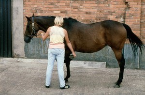 view Holding a horse's leg up correctly - grasping the