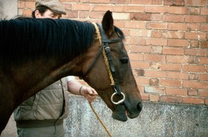 view Bridle restraint made more severe - gag