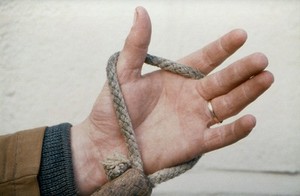 view Correct holding of horse's lead rope