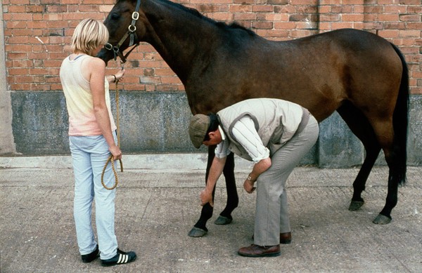 Vet examining horse's foreleg correctly
