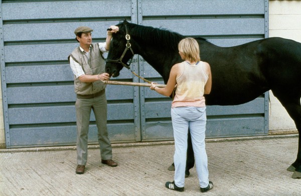 Standing on wrong side of horse