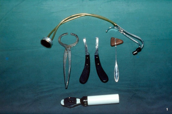 Equipment needed for examination of horse