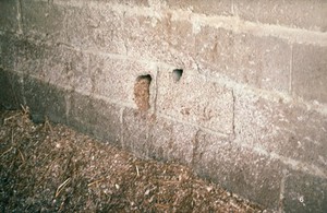 view A hole in wall of a stable due to kicking