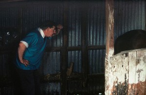 view A typical dark stable.