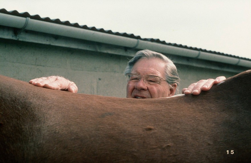 Examing horse's dorsal vertebral spines