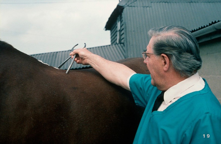 Spinal reflex test on both sides of spine
