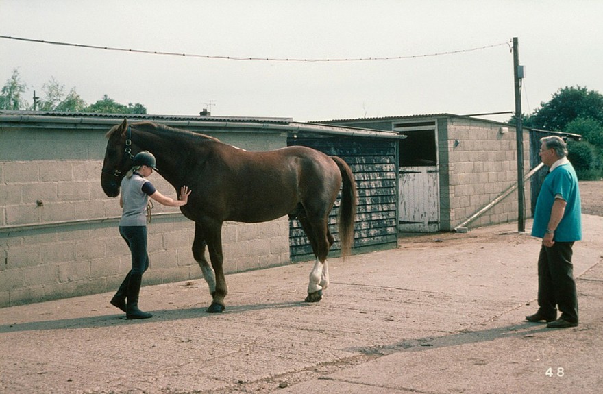 Backing a horse correctly