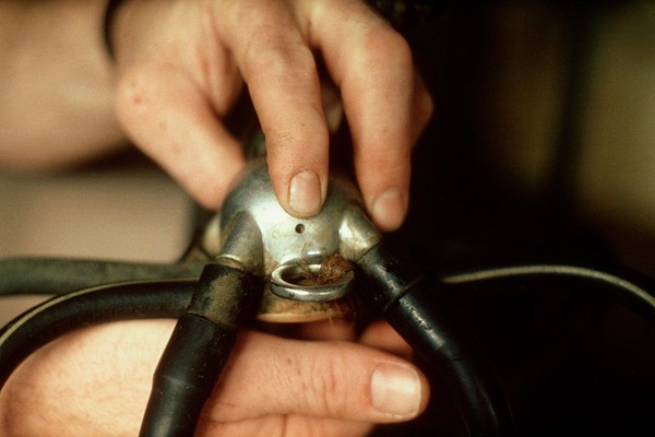 Equipment for milking cows: clawpiece.