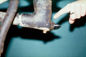 view A blind-ending pipe used for milking cows