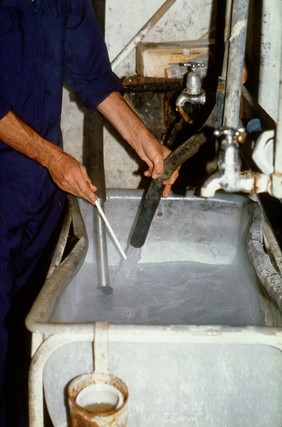 Milking cows: testing temperature of water