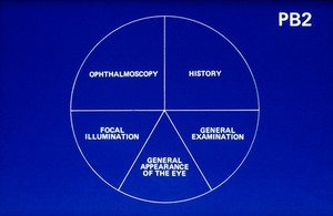 view Canine retina: info. needed for diagnosis