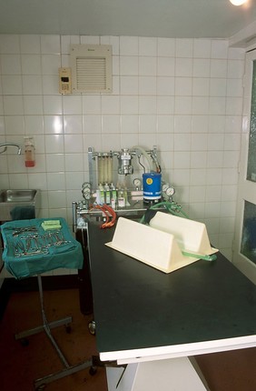 Veterinary operating theatre