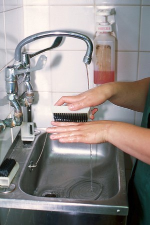 view Veterinary practice operating theatre, scrubbing up