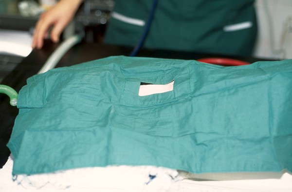 Cat surgery, thyroidectomy