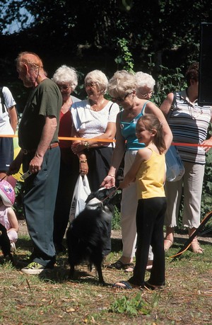 view RSPCA Dog Show