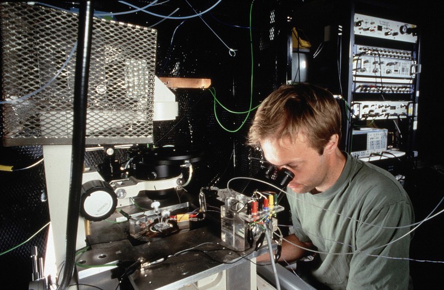 Researcher using patch clamping apparatus for ion channel studies on frog oocytes. Researcher is Dr Paul Smith, Physiology Department, Oxford University.
