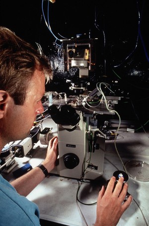view Researcher using patch clamping apparatus for ion