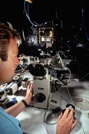 view Researcher using patch clamping apparatus for ion