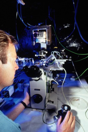 view Researcher using patch clamping apparatus for ion
