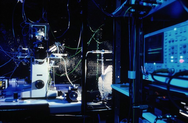 Patch clamping apparatus for use in ion