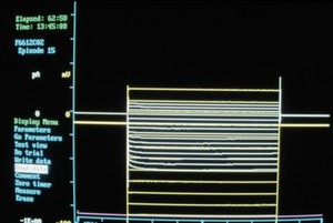 view Screen print from patch clamping apparatus for use in ion