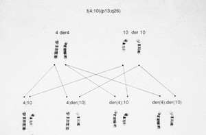 view Inheritance of translocations