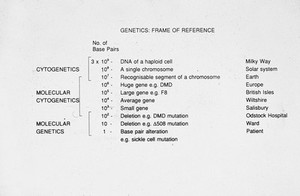 view Genetics frame of reference - the size of various genetic components, including DNA, a base pair, various sizes of deletions, chromosomes and genes are listed and compared with more familiar objects such as the Solar System, planets, cities, hospitals, wards, and so on.