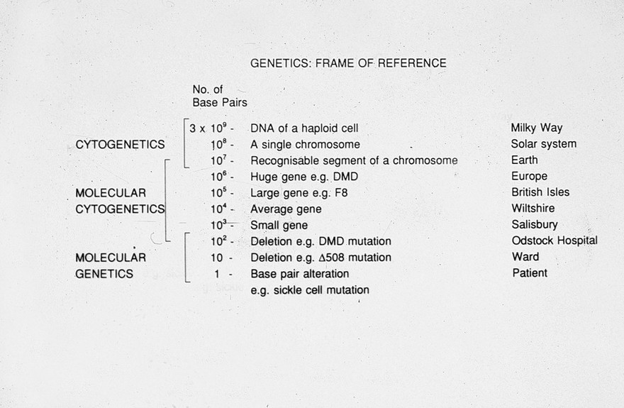 Genetics frame of reference - the size of various genetic components, including DNA, a base pair, various sizes of deletions, chromosomes and genes are listed and compared with more familiar objects such as the Solar System, planets, cities, hospitals, wards, and so on.