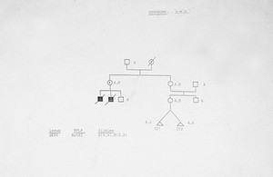 view Duchenne muscular dystrophy pedigree chart