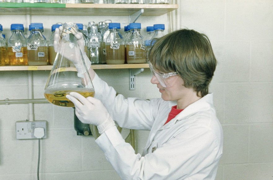 Scientist examines flask of bacteria culture
