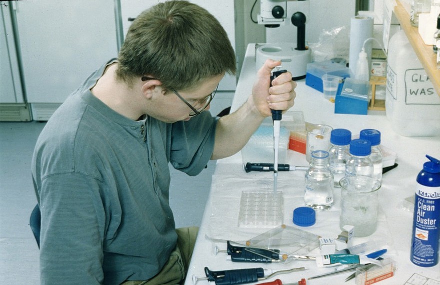 Scientist + samples in microtitre tray
