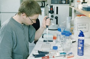 view Scientist with samples in microtitre tray