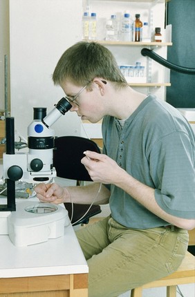 Scientist pipetting with microcapillary