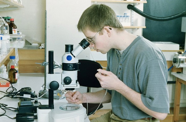 Scientist pipetting with microcapillary