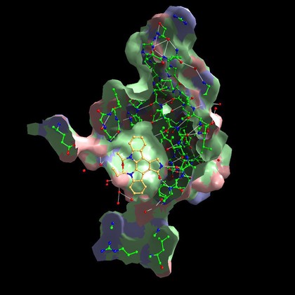 Inhibition of CDK2 by staurosporine, model