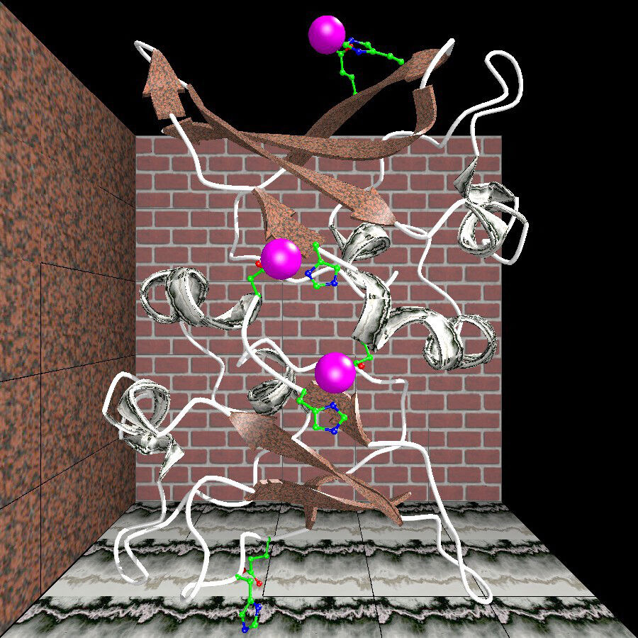 Cell Cycle Regulation Model Of Suc1 Protein Wellcome Collection