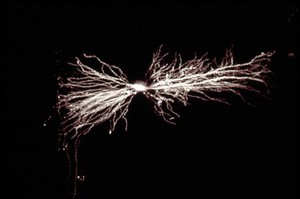 view Interneuron in hippocampus