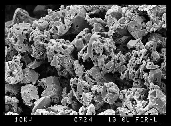 SEM bone, eroded calcium sulphate crystals